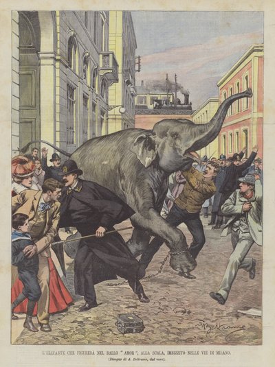 The Elephant That Will Appear in the Ballet Amor at La Scala, Gone Wild in the Streets of Milan by Achille Beltrame