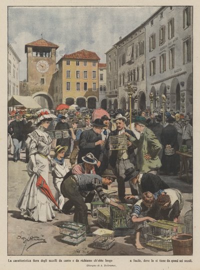 The characteristic fair of songbirds and decoy birds that took place by Achille Beltrame