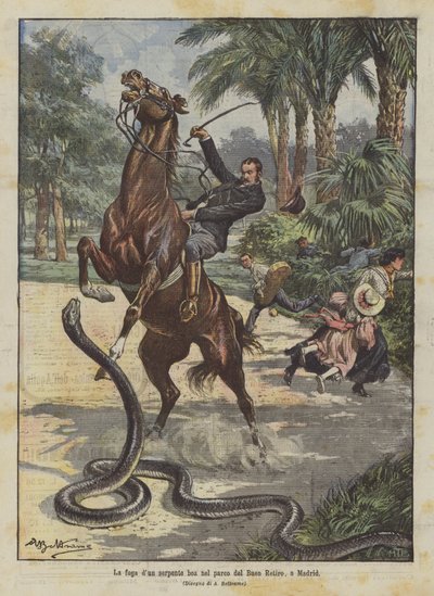The Escape of a Boa Constrictor in the Park of Buen Retiro, Madrid by Achille Beltrame