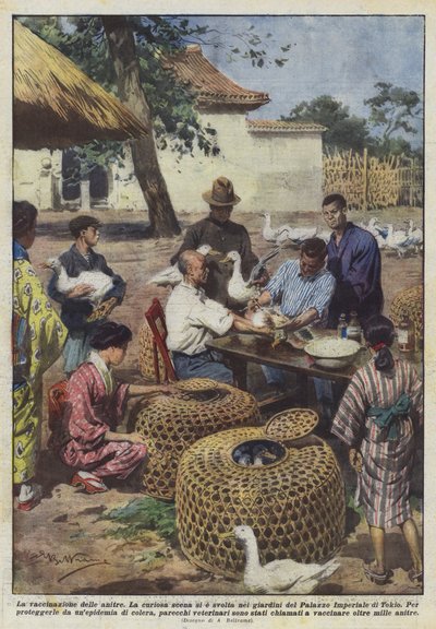 The vaccination of ducks by Achille Beltrame