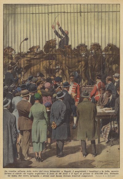 The Auction of the Beasts of the Schneider Circus in Naples by Achille Beltrame
