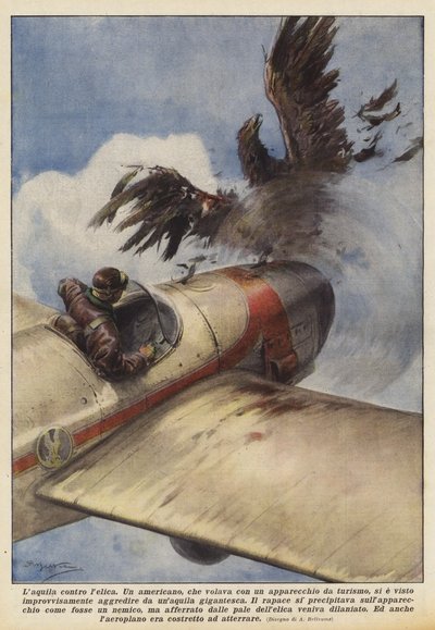 The Eagle Against the Propeller by Achille Beltrame