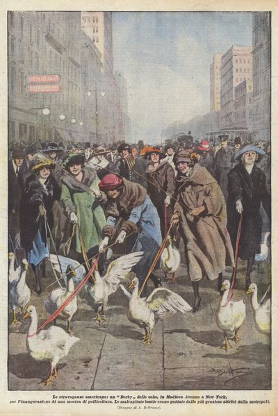 American extravagances, a goose derby on Madison Avenue in New York, for the inauguration by Achille Beltrame