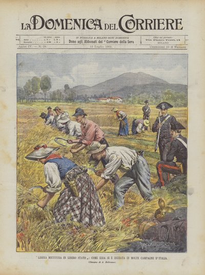 Free Harvest in a Free State, As It Began in Many Italian Countrysides by Achille Beltrame