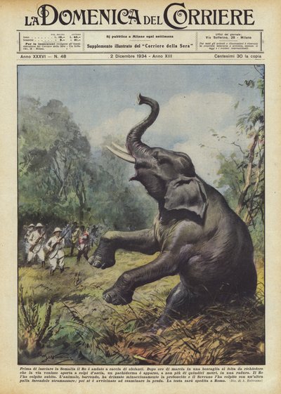 Before Leaving Somalia, the King Went Elephant Hunting by Achille Beltrame