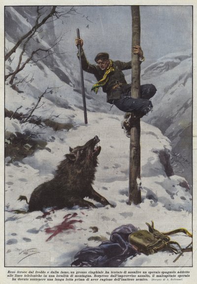 Driven by Cold and Hunger, a Large Boar Tried to Attack a Worker... by Achille Beltrame