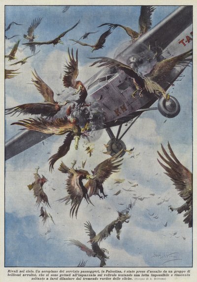 Rivals in the Sky by Achille Beltrame