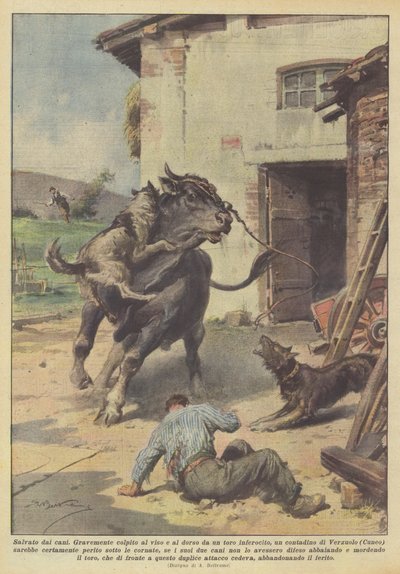 Saved by Dogs by Achille Beltrame