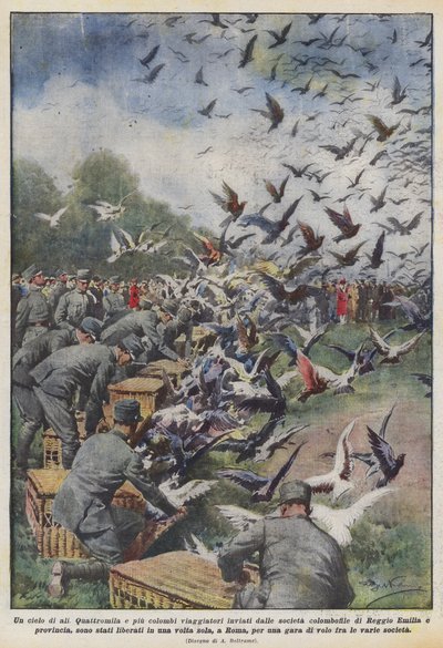 A Sky of Wings by Achille Beltrame