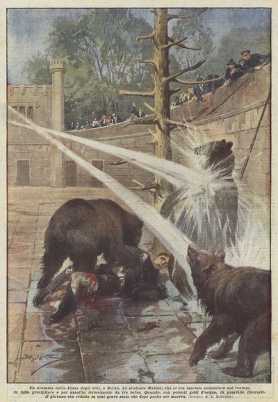 A Drama in the Bear Pit in Bern by Achille Beltrame