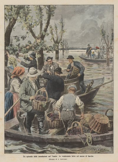 An Episode of the Floods in Veneto, the Harvest Done by Means of Boats by Achille Beltrame