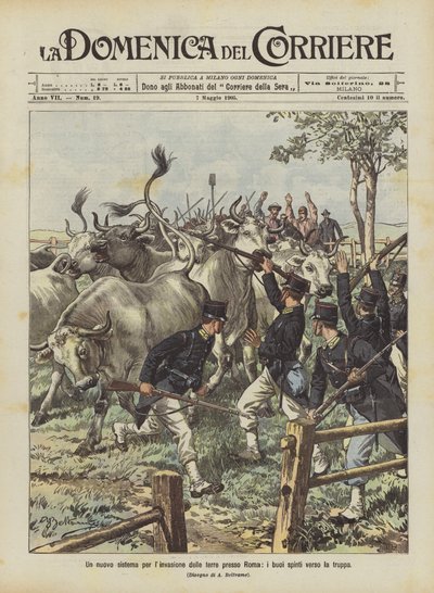 A new system for land invasion near Rome, oxen driven towards the troops by Achille Beltrame
