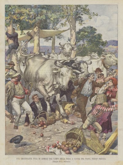 An Exciting Escape of Animals from the Fairground in Castel del Piano, Near Perugia by Achille Beltrame
