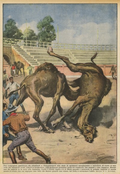 An American Company is Setting Up a Series of Characteristic and Bloodless Shows in Constantinople by Achille Beltrame