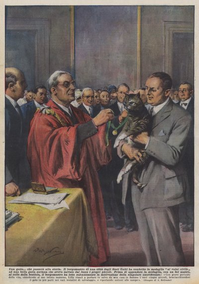 A Cat That Will Go Down in History by Achille Beltrame