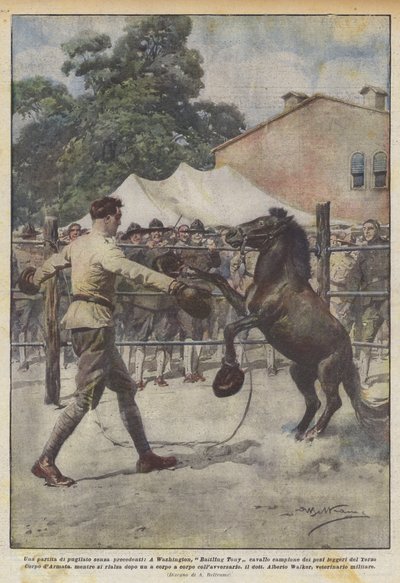 An unprecedented boxing match, in Washington, Battling Tony horse champion of weights by Achille Beltrame