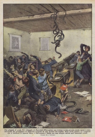 A rain of snakes by Achille Beltrame