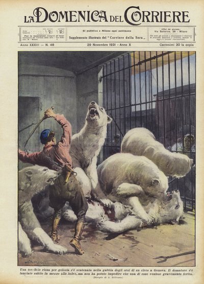 A Terrible Fight Over Jealousy Broke Out in the Bear Cage of a Circus in Genoa by Achille Beltrame