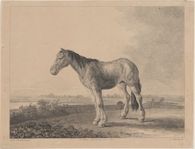 Horse standing on a field in profile to left by Adam von Bartsch