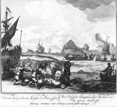 Shooting, Clubbing, and Flensing of Walruses (No. 9 from the Whaling Series) by Adolf van der Laan