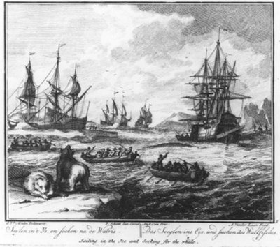 "Sailing in the Ice, and Searching for the Whale" (No.1 from the Whaling Series) by Adolf van der Laan