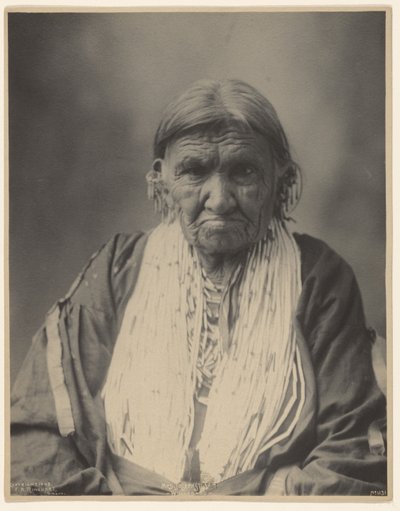 Mrs. Joseph Street, Winnebago by Adolph F. Muhr