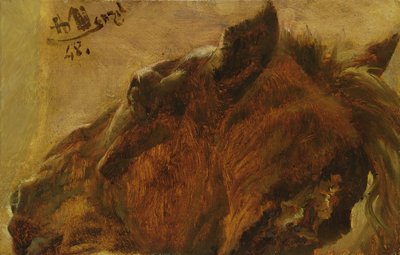 Head of a Dead Horse, 1848 by Adolph Menzel