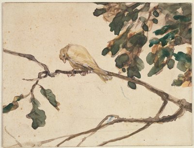 Canary on an Oak Tree Branch by Adolph Menzel