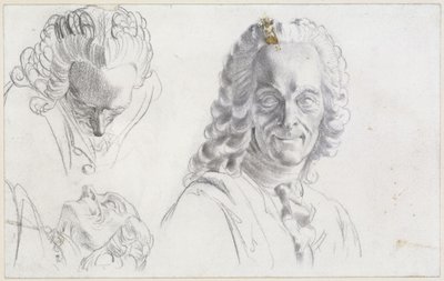 Study of Voltaire by Adolph Menzel