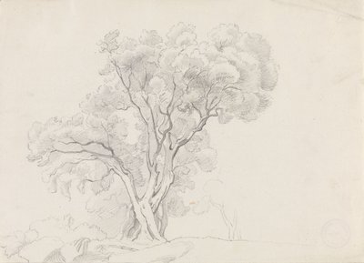 Deciduous Trees by Adolph Tidemand