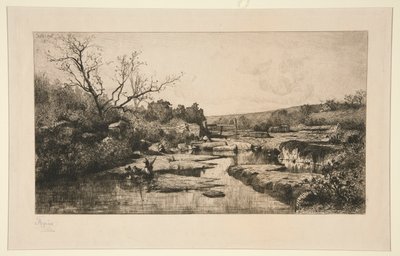 Source of the... by Adolphe Appian