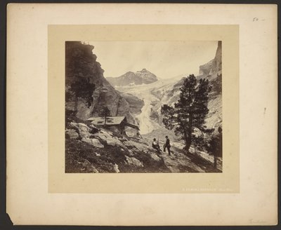 Alpine View at Faulhorn by Adolphe Braun