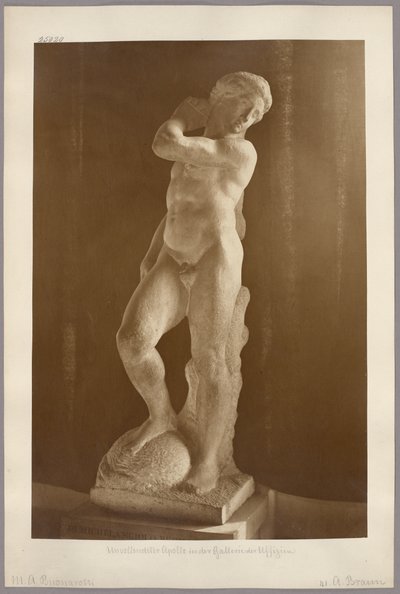 Unfinished Apollo in the Uffizi Gallery by Adolphe Braun