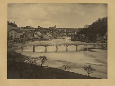 View of Shaffhausen, Switzerland by Adolphe Braun