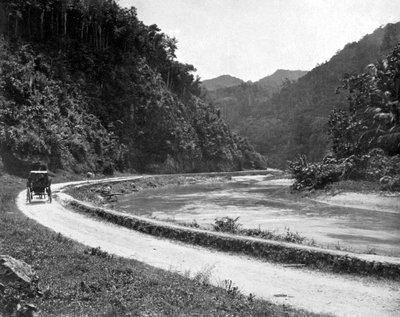 Road to Bog Walk, Jamaica, c1905 by Adolphe Duperly and Son