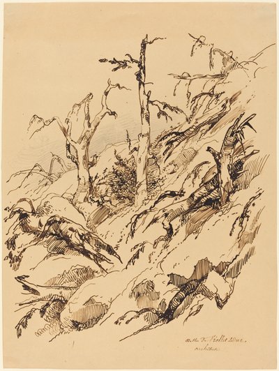 A Rocky Hillside with Dead and Dying Trees by Adolphe Etienne Viollet Le Duc II