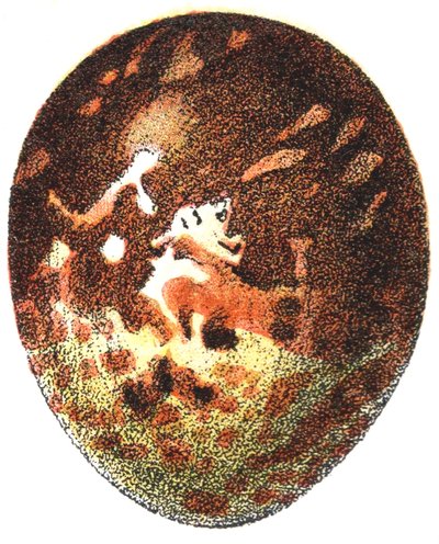 Egg of a Honey Buzzard, 1923 by Adolphe Philippe Millot