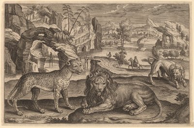 A Leopard and Two Lions by Adriaen Collaert