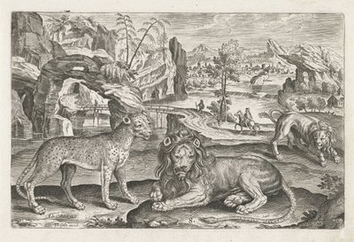 Lions and Leopard (Four-legged Animals) (Animalivm Qvaddrvpedvm) by Adriaen Collaert