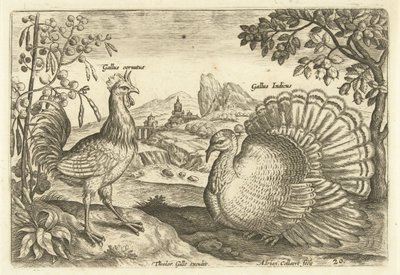 Two Chickens in a Landscape (Avivm Vivae) (Birds) by Adriaen Collaert