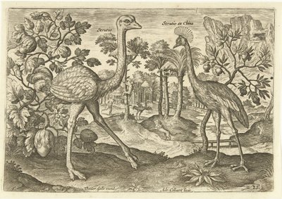 Two Ratites in a Landscape by Adriaen Collaert