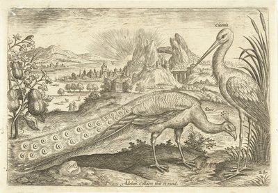 Two Birds in a Landscape (Avivm Vivae) (Birds) by Adriaen Collaert