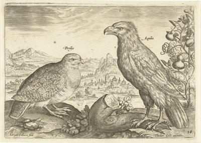 Two Birds in a Landscape (Avivm Vivae / Birds series) by Adriaen Collaert