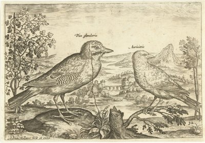 Two Birds in a Landscape by Adriaen Collaert