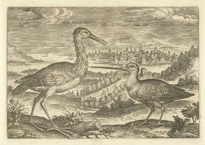 Two Birds in a Landscape Birds (series title) by Adriaen Collaert