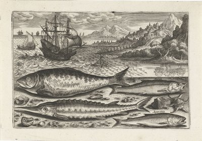 Four Fish on the Beach by Adriaen Collaert