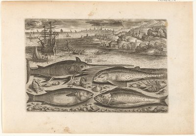 Four Fish on the Beach by Adriaen Collaert