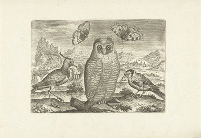 Birds and Butterflies in a Landscape (Birds / Avivm vivae) by Adriaen Collaert