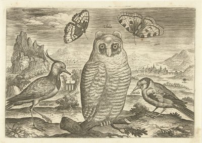 Birds and Butterflies in a Landscape by Adriaen Collaert