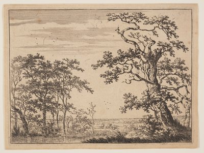 The Pond by Adriaen Hendricksz. Verboom
